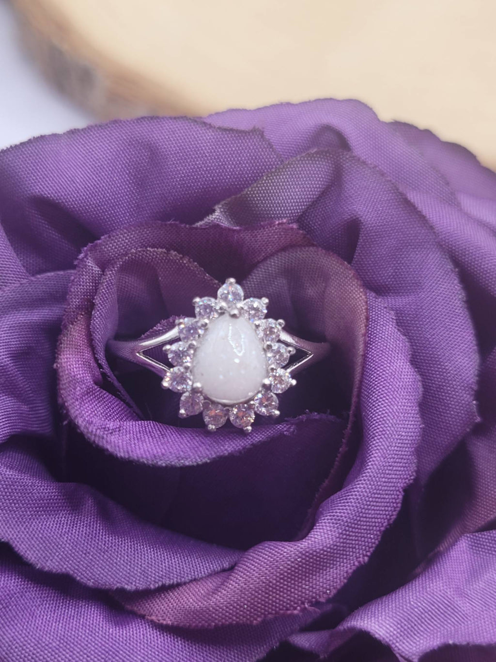 Camellia
