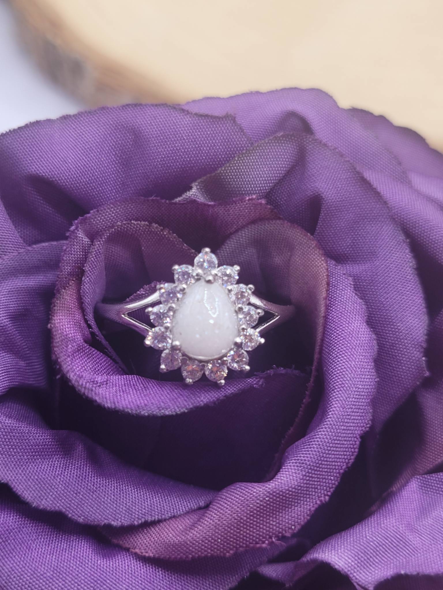 Camellia
