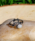 Cow Ring
